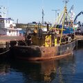 Steel Trawler - picture 6